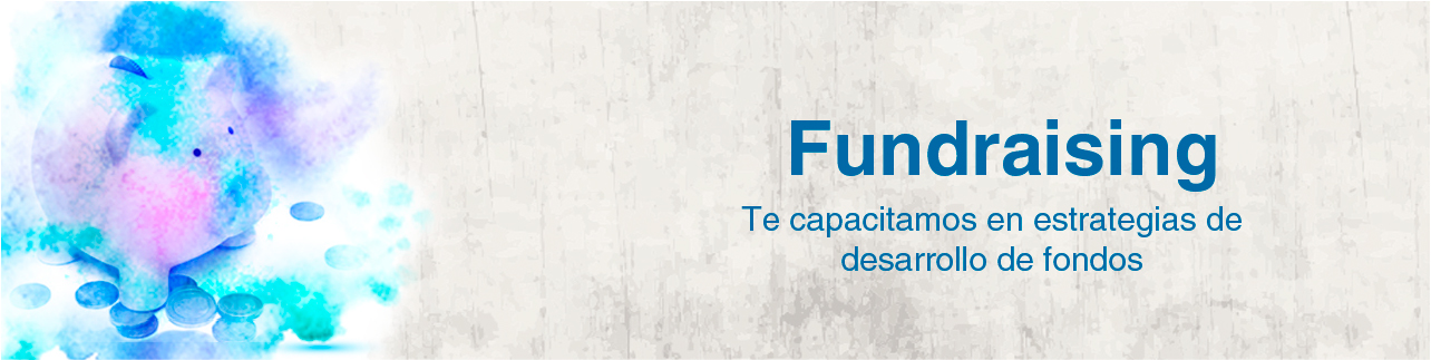 Voluntariado